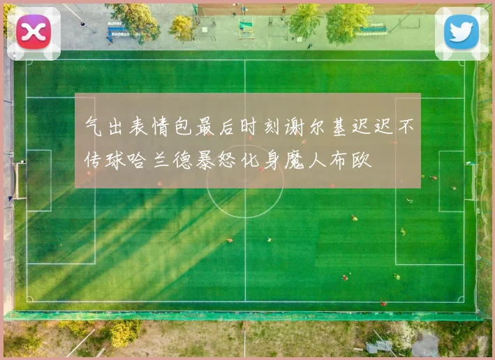气出表情包最后时刻谢尔基迟迟不传球哈兰德暴怒化身魔人布欧